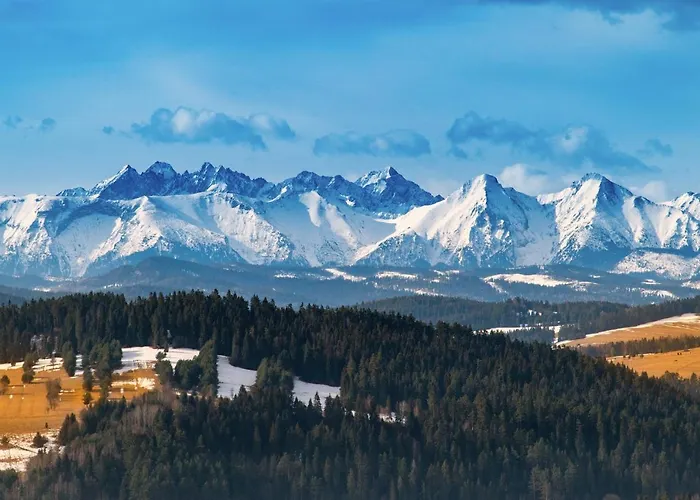 Toporowe Izby بيت للعطل